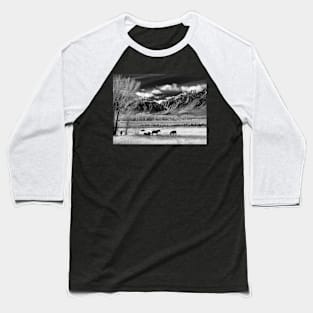 horses-in-a-field Baseball T-Shirt